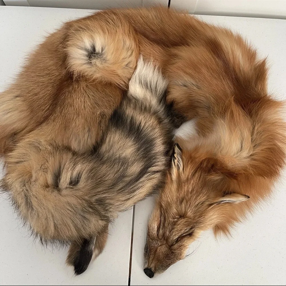 Real Red Fox Fur Pelt Hide Stole Scarf Log Cabin Decor Crafts Art Wall Hanging! - Picture 2 of 15
